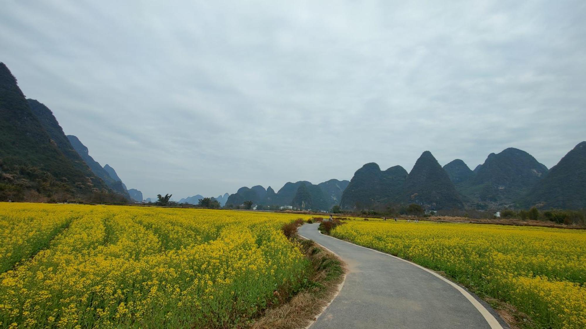 Yangshuo Tea Cozy--One Way Free Pick Up From Airport Or Ts 4 Nights Guest House Екстериор снимка